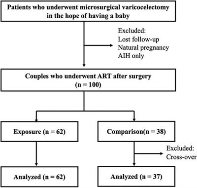 Add-on effects of oral tocopherol supplementation to surgical varicocelectomy on the outcome of assisted reproductive technology: a single-center pilot study report